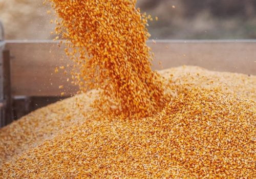 Agro_Milho_15JUl2025_dusanpetkovic_Getty-1200x675.jpg